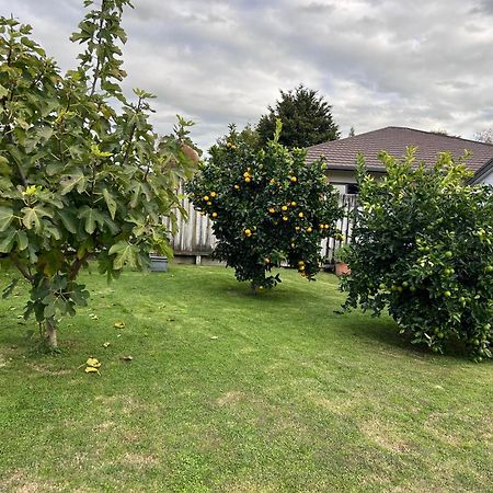 Matamata Villa Екстериор снимка